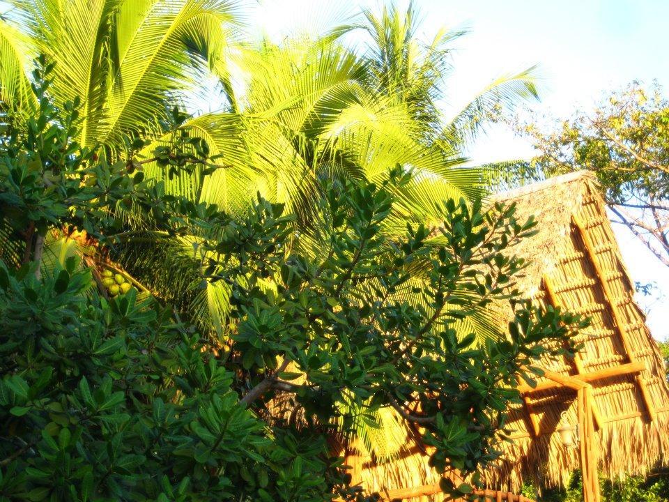 Villas La Paz Плайя Кончал Екстериор снимка