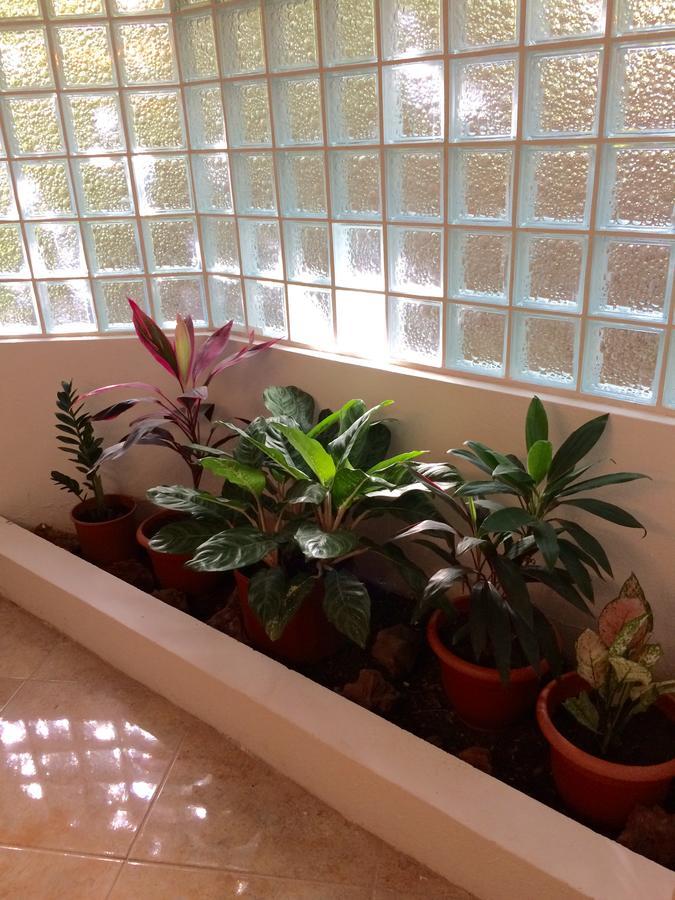 Villas La Paz Плайя Кончал Екстериор снимка